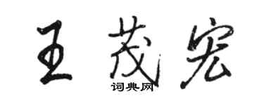 駱恆光王茂宏行書個性簽名怎么寫