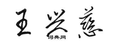 駱恆光王興慈行書個性簽名怎么寫