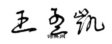 曾慶福王孟凱草書個性簽名怎么寫