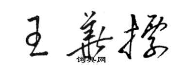 駱恆光王華標草書個性簽名怎么寫