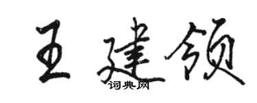 駱恆光王建領行書個性簽名怎么寫