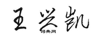 駱恆光王興凱行書個性簽名怎么寫