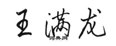 駱恆光王滿龍行書個性簽名怎么寫