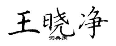 丁謙王曉淨楷書個性簽名怎么寫
