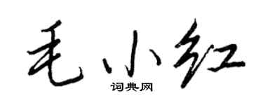 王正良毛小紅行書個性簽名怎么寫