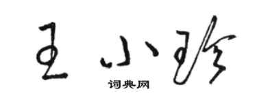 駱恆光王小珍草書個性簽名怎么寫