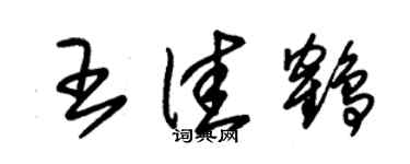 朱錫榮王佳鶴草書個性簽名怎么寫