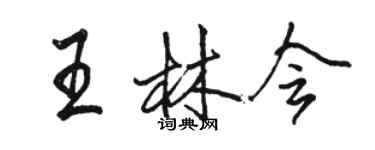 駱恆光王林會行書個性簽名怎么寫