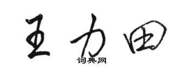 駱恆光王力田行書個性簽名怎么寫