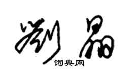 朱錫榮劉晶草書個性簽名怎么寫