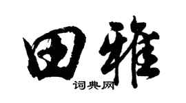 胡問遂田雅行書個性簽名怎么寫