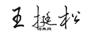 駱恆光王挺松行書個性簽名怎么寫