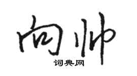 駱恆光向帥行書個性簽名怎么寫