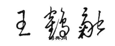 駱恆光王鶴融草書個性簽名怎么寫