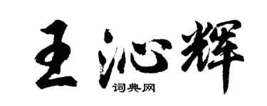 胡問遂王沁輝行書個性簽名怎么寫