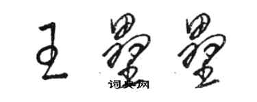 駱恆光王壘壘草書個性簽名怎么寫