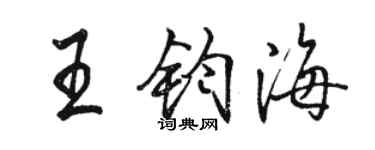 駱恆光王鈞海行書個性簽名怎么寫