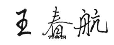 駱恆光王春航行書個性簽名怎么寫