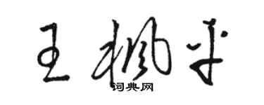 駱恆光王楓平草書個性簽名怎么寫