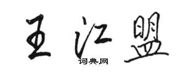 駱恆光王江盟行書個性簽名怎么寫