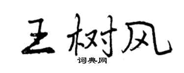 曾慶福王樹風行書個性簽名怎么寫