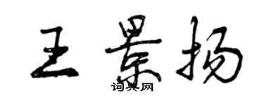 曾慶福王景揚行書個性簽名怎么寫