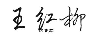 駱恆光王紅柳行書個性簽名怎么寫