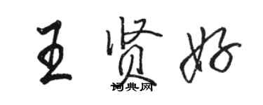 駱恆光王賢好行書個性簽名怎么寫