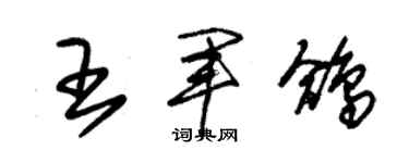朱錫榮王軍鴿草書個性簽名怎么寫