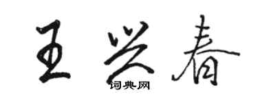 駱恆光王興春行書個性簽名怎么寫