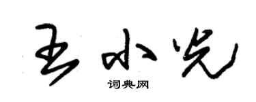 朱錫榮王小光草書個性簽名怎么寫