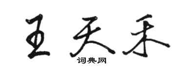 駱恆光王天禾行書個性簽名怎么寫