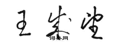 駱恆光王成望草書個性簽名怎么寫