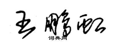 朱錫榮王鵬虹草書個性簽名怎么寫