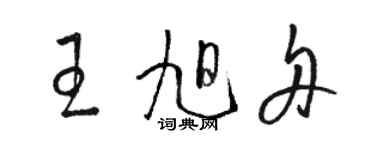 駱恆光王旭舟草書個性簽名怎么寫