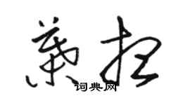 駱恆光葉想草書個性簽名怎么寫