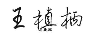 駱恆光王植柄行書個性簽名怎么寫
