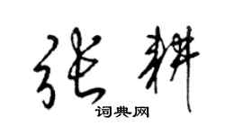 梁錦英張耕草書個性簽名怎么寫