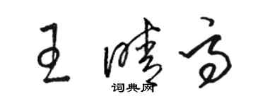 駱恆光王晴高草書個性簽名怎么寫