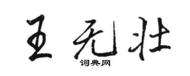 駱恆光王無壯行書個性簽名怎么寫