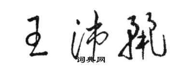 駱恆光王沛麗草書個性簽名怎么寫