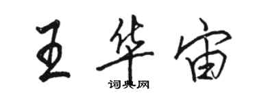 駱恆光王華宙行書個性簽名怎么寫