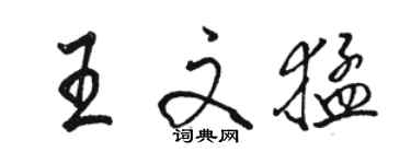 駱恆光王文猛行書個性簽名怎么寫