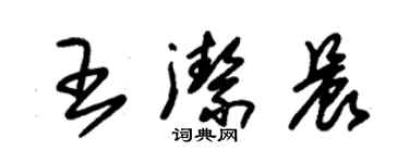 朱錫榮王潔晨草書個性簽名怎么寫