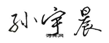 駱恆光孫宇晨行書個性簽名怎么寫