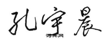 駱恆光孔宇晨行書個性簽名怎么寫