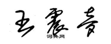 朱錫榮王震夢草書個性簽名怎么寫