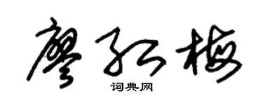 朱錫榮廖紅梅草書個性簽名怎么寫