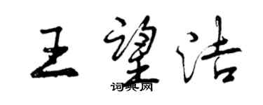 曾慶福王望潔行書個性簽名怎么寫