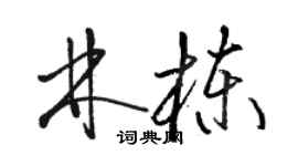 駱恆光林棟草書個性簽名怎么寫